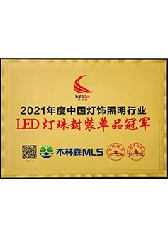 Campeón de producto único LED de China 2021