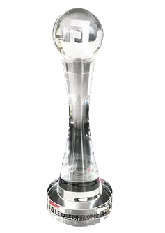 Valor de marca LED anual Top 25 2015